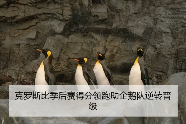 克罗斯比季后赛得分领跑助企鹅队逆转晋级