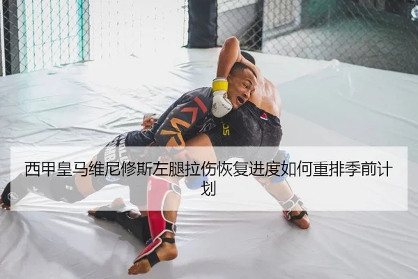 西甲皇马维尼修斯左腿拉伤恢复进度如何重排季前计划（Leyu）